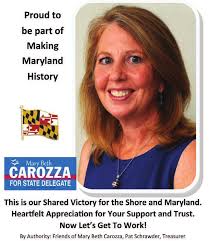 Council gets another park pitch