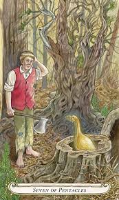 7 D Ecus Le Conte De Fees De Tarot Par Lisa Hunt Fairy Tales Llewellyn Tarot Carte Tarot