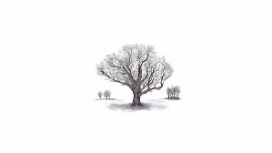 A collection of the top 54 simple white wallpapers and backgrounds available for download for free. Hd Wallpaper Ink Tree Stump Artwork White Background Simple Background Wallpaper Flare