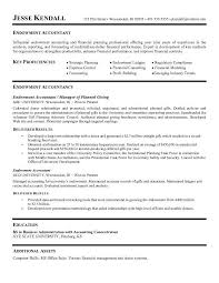 Sample Cv For Accountant Free Resume Templates