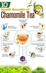 10 Health Benefits Of Chamomile Tea 5 Will Surprise You Healthy Hubb Chamomile Tea Benefits Chamomile Tea Coconut Health Benefits