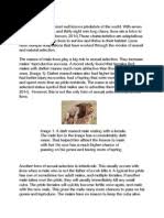 Evolution mutation and selection gizmo answer key. Student Exploration Evolution Mutation And Selection Gizmo Answers Fitness Biology Allele