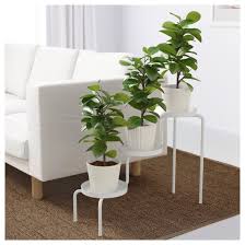 Ikea Ps 2014 Blumenstander Weiss Drinnen Draussen Weiss Ikea Planta De Decoracao Interior Estandes De Plantas Decoracao Das Plantas Da Casa