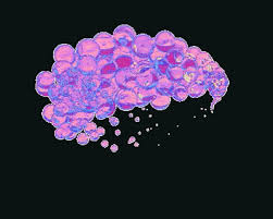 All of these smoke gif png background resources are for free download on pngtree. Black Background Gifs Tenor