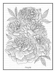 We have chosen the best marigold coloring pages which you can download online at mobile, tablet.for free and add. Marigolds Printable Coloring Page Color With Steph Coloring Pages Flower Coloring Pages Online Coloring