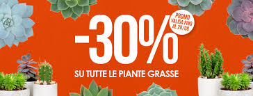Una caratteristica accomuna tutte le specie: Nicora Garden Startseite Facebook