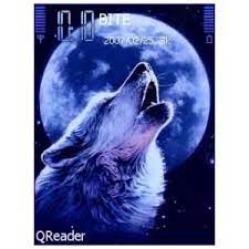 Wolf And Moon Google Search Pareja De Lobos Fotos De Lobo Fondo De Pantalla Lobo