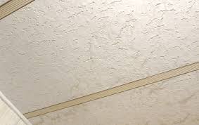 Mobile Home Ceiling Panels Replacement Repair Or Rebuild Mobile Home Repair