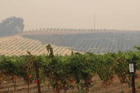 Kincade Fire Displaces Farmworkers, Disrupts Sonoma Grape Harvest