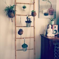 Echelle Bambou Plantes Echelle Bois Deco Idee Deco Bambou Echelle Deco