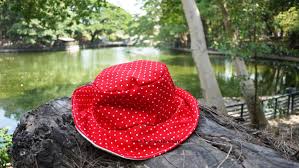 Luas kain yang diperlukan untuk membuat topi tersebut adalah. Cara Membuat Topi Dari Kain Pigura