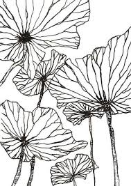 Black And White Flower Pictures Wall Art Pin On Wall