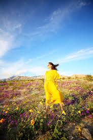 6 Spots To See The Super Bloom In Southern California Antelope Valley Poppy Reserve Lake Elsinore Poppy Field
