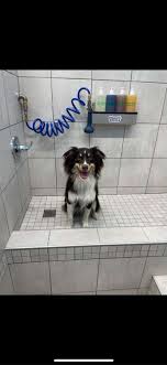 Check spelling or type a new query. Pet Supplies Plus Woodway Tx Pet Supplies