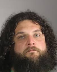 Hallucinogenic Mushrooms Seized In Colden Raid