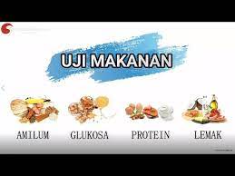 Check spelling or type a new query. Uji Makanan Amilum Glukosa Protein Dan Lemak Praktikum Biologi Youtube