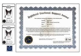 Register your dog as an emotional support dog 100% online. Home Register My Service Animal Llc