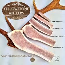 We did not find results for: 4 Pack Small Split Yellowstone Premium Elk Antler Dog Chews