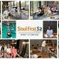 Soul Fest – The Viveda Way