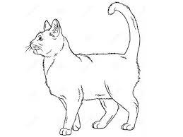 Maybe you would like to learn more about one of these? Brhkkwke5ampjm
