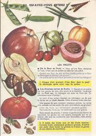 62 Revision Les Fruits Lecon De Choses Fruit L Education Francaise