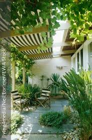 Couch Grunpflanzen Hintergarten Terrasse Pflanzen