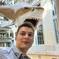 60+ "Logerquist" profiles