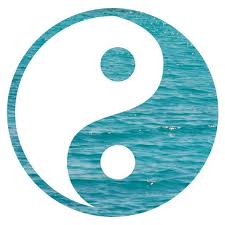 Yin Yang Tumblr Transparent Google Search Yin Yang Ying Yang Yin