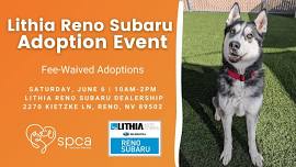 SPCA-NN & Lithia Reno Subaru's Fee-Waived Adoption Event