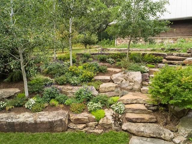  Rock Garden tips