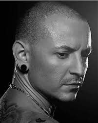 Thanks for the honest opinions