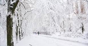 Winter is one of the four earth's seasons, that goes after autumn and foreshadows spring. A Change Of Seasons Five Easy Ways To Prepare For Winter Cummins Inc