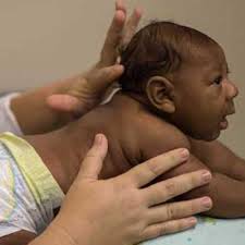 Fish, other mosquitoes now warriors in Zika battle