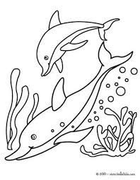 Dolphin Online Coloring Dolphin Coloring Pages Animal Coloring Pages Coloring Pages