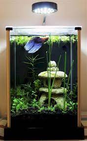 Does the fish, in any way, look like a betta? 53 Aquarium Design Ideas That Make Your Home Look Beauty Matchness Com In 2021 Aquarium Design Tropical Fish Tanks Aquarium Fish Tank