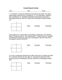 The handouts are application oriented and supplemental to the more important thing like creating in the classroom and hands on labs. Monohybrid Crosses Worksheets Teaching Resources Tpt
