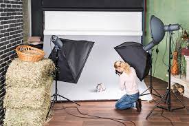 How much do pet photographers charge. 2021 Pet Photography Prices With Local Costs Fash