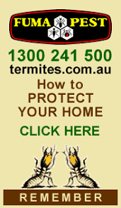 We did not find results for: Ace Arbor Tree Services Pty Ltd Narraweena Nsw 2099