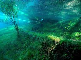 Http Lesmoutonsenrages Fr Wp Content Uploads 2015 05 Le Lac Gruner See Etat De Styrie Autriche Photo 08 Jpg Underwater Park Green Lake Lake Photos La meilleure arme pour agir: pinterest