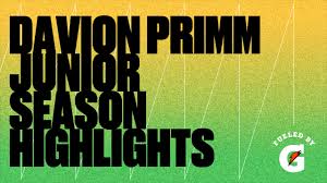 Davion Primm Junior Season Highlights