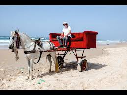 Born in plains, georgia, on october 1, 1924, james earle carter jr. Von Michail Gorbatschow Steve Jobs Jimmy Carter Bis Zum Analphabet