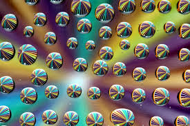 Here are some ideas for your inspiration. 10 Great At Home Creative Photography Ideas