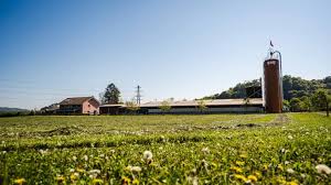 Bei einigen änderungsideen unsererseits legte herr freidl spontan transparentpapiere darüber und skizzierte überraschende neue und praktikable detaillösungen für die paar wenigen knackpunkte. Wytihof Roland Furter Emmi Gruppe