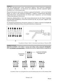 Biologia tom 1 i 2. Arkusze Cke Matura Z Biologii Co Bylo Na Maturze