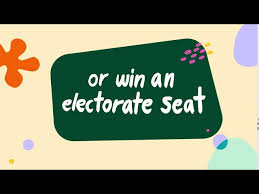 Vote In Elections New Zealand Parliament