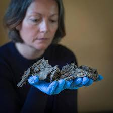 Thousands of Rare Artifacts Discovered Beneath Tudor Manor's Attic  Floorboards