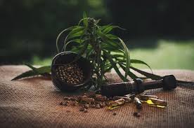 Credit reports detail personally identifying information such as your name, address and social security number, as well as open and closed credit card accounts, loans, bills in. Med Choice Financial Health Life