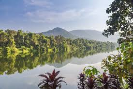 Buy online at your favourite high street store. 10 Beautiful Rivers In Kerala Place Of Origin Length Many More To Know About