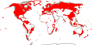 Image result for Sladeniaceae