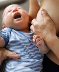 Image result for Mastitis